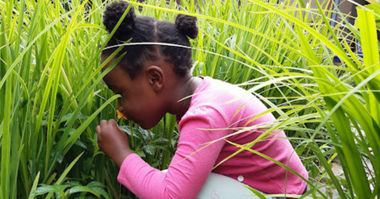 The School - Hatfield Montessori Preschool